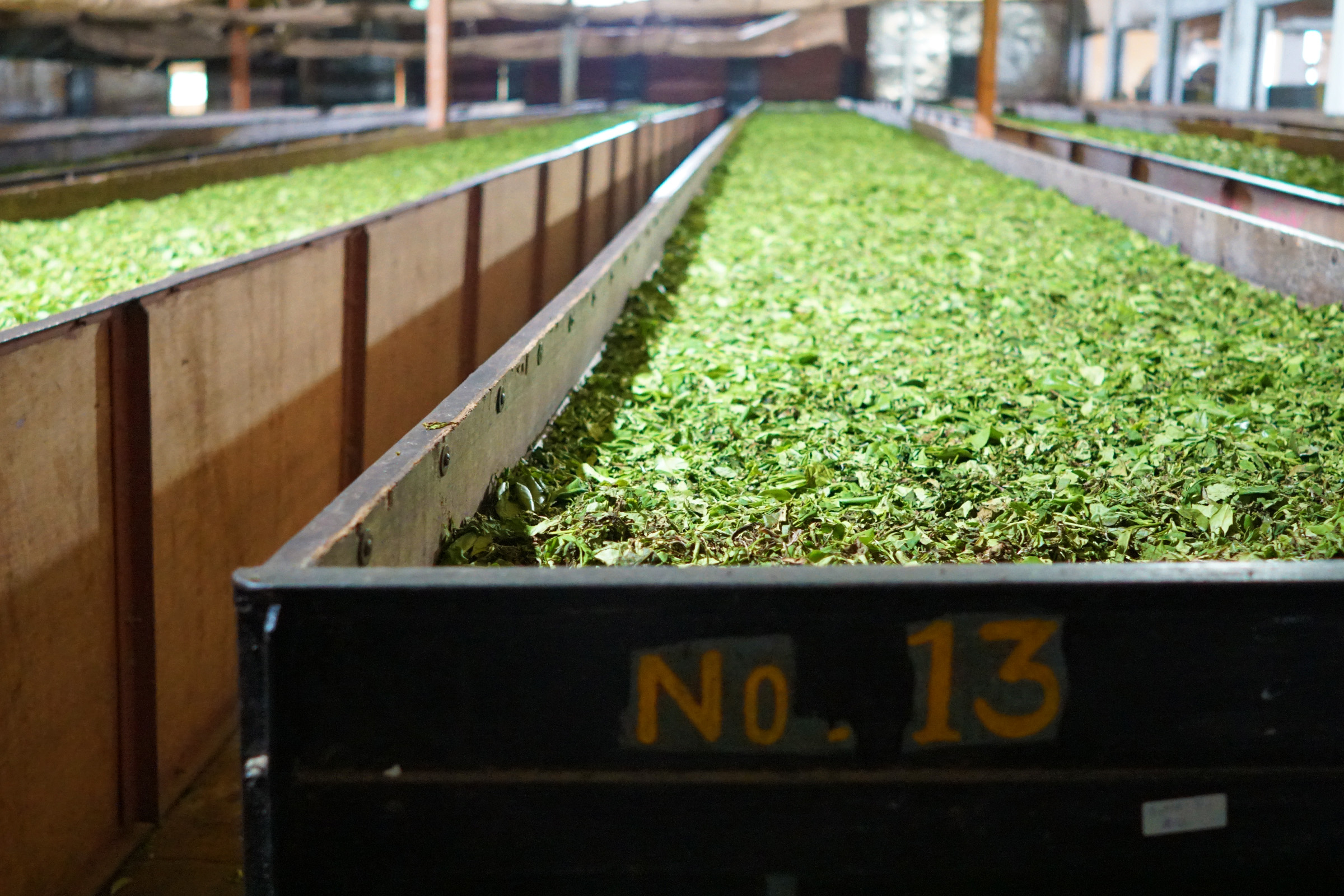 紅茶専門店 Uf-fu（ウーフ）業者様用 | TEA TRAVELLERS